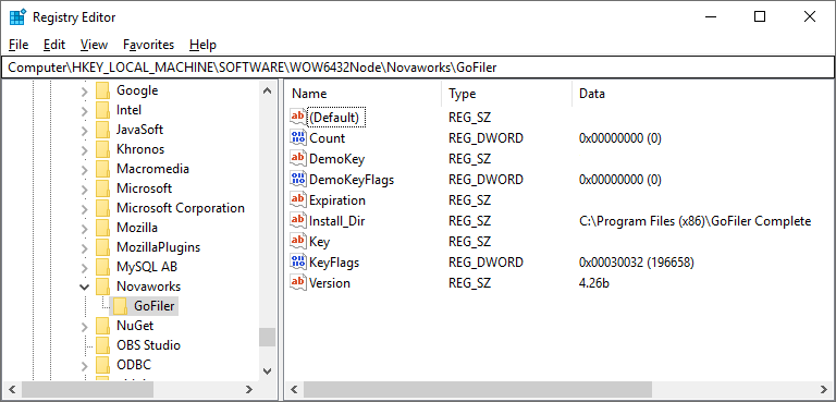 View of the GoFiiler key in Registry Editor