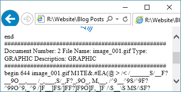 Viewing a return copy file with the .htm extension inside of a browser, document 2.