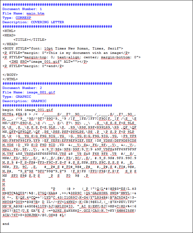 Illustrating the file dividers inside the data of the return copy file.